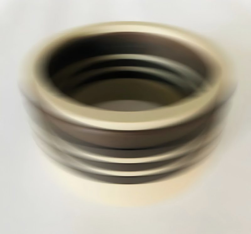 Рухендік мөрдің 600MPA су орташа алынған тығыздағышты ультра жоғары қысымды тығыздағыш пайдаланушы сынағын өткізді