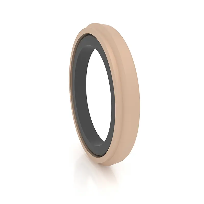 High Pressure Seals For Piston Holes High Pressure Seals For Piston Holes