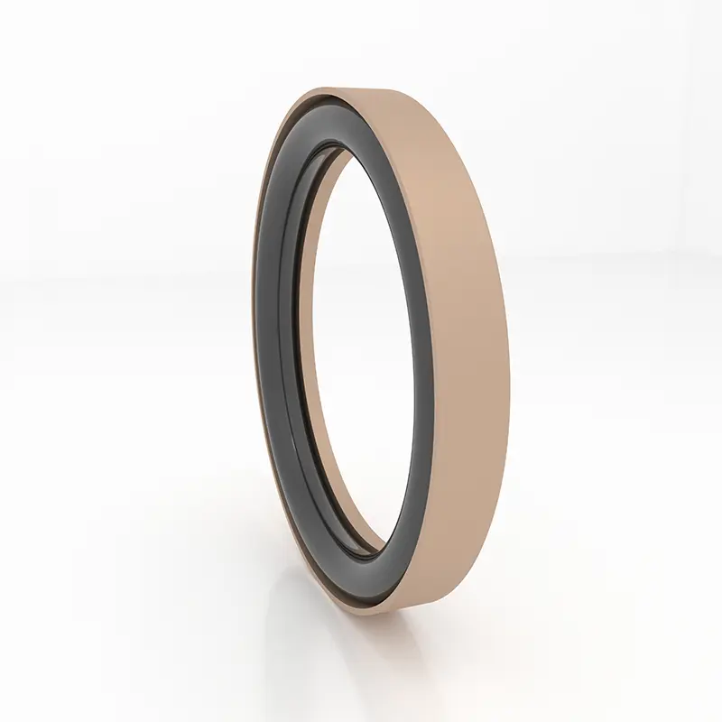 High Pressure Seals For Piston Holes High Pressure Seals For Piston Holes