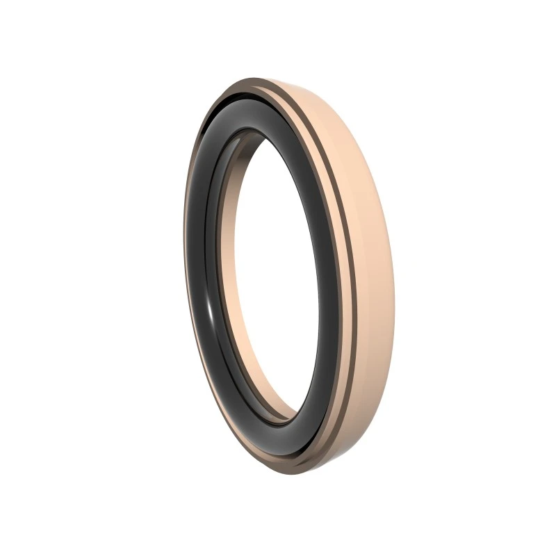 High Pressure Rotary Seals