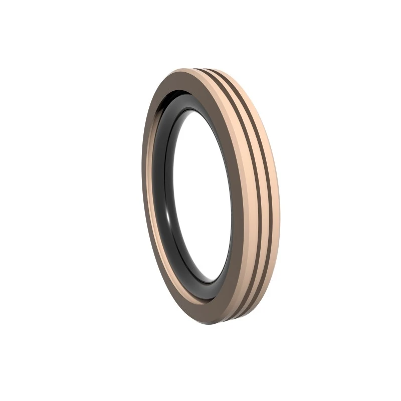 High Pressure Rotary Seals