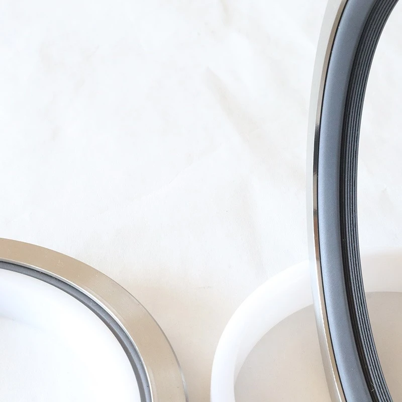 High Pressure Rotary Seals