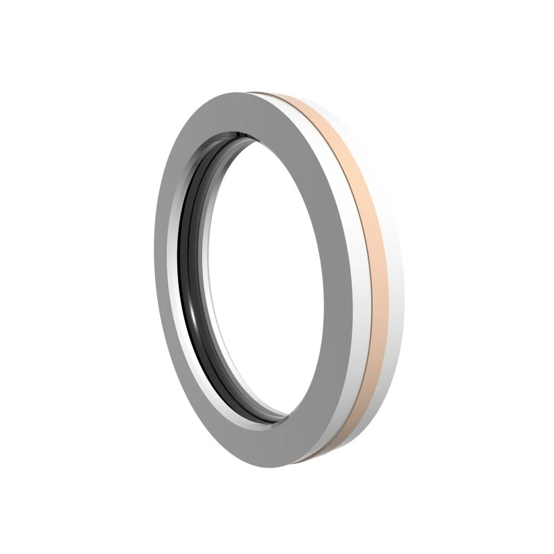 High Pressure Rotary Seals