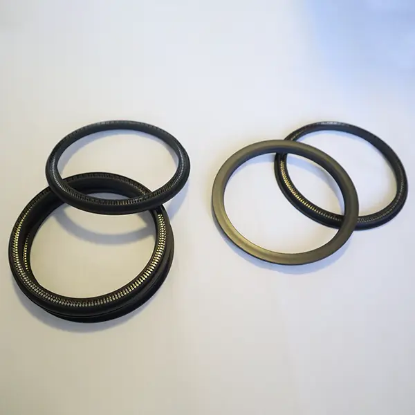 Rotary Spring Energized Seals